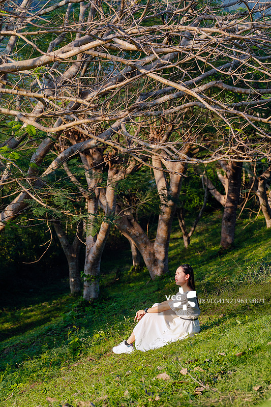一位穿着白色裙子的年轻女性安静地坐在草坡上，四周环绕着树木，沐浴在温暖的阳光中。图片素材