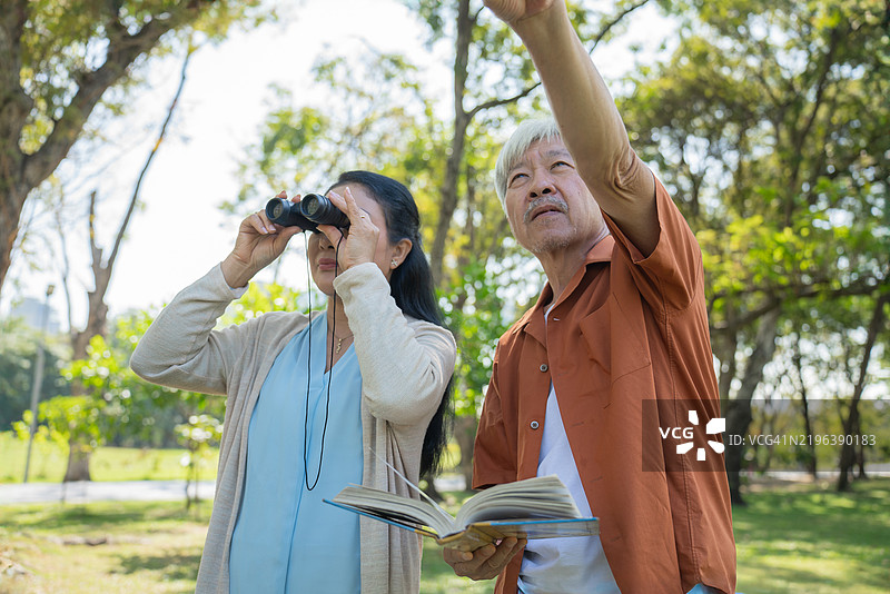 一位老年女性正在使用望远镜观察远处的鸟，而一位老年男性则用一只手拿着一本打开的书，指向天空，正在讨论他们在公园周末看到的鸟。图片素材