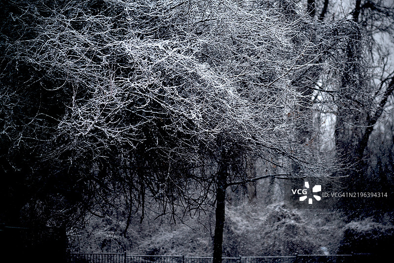 冬季风景图片素材