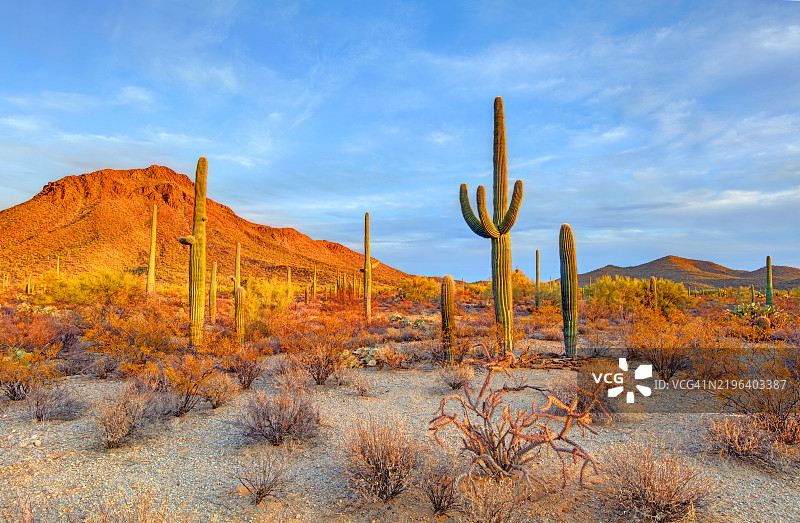 图森山公园图片素材