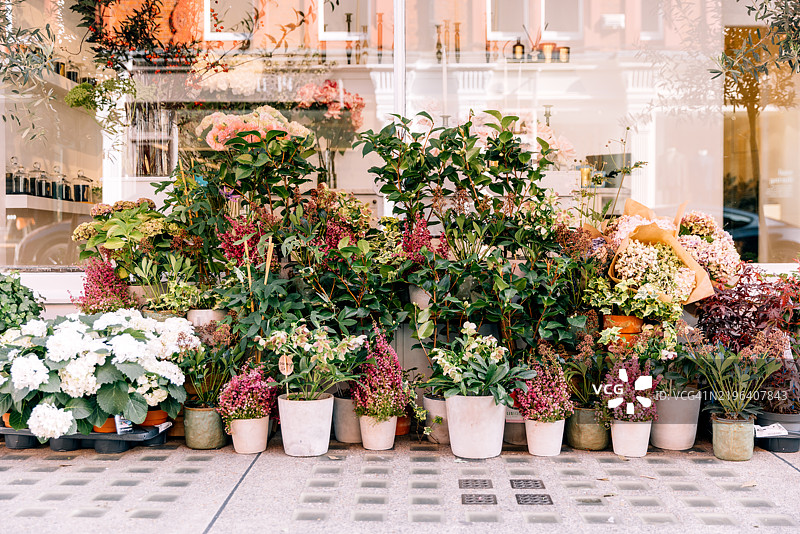 街边花店出售各种花卉图片素材