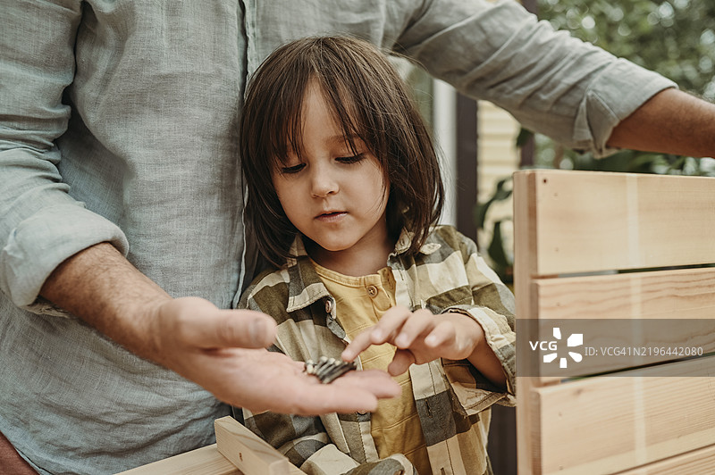 父亲在后院给儿子递螺丝。图片素材
