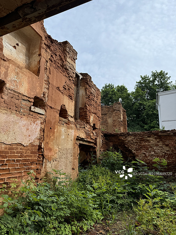 被植被覆盖的古老红砖遗迹图片素材