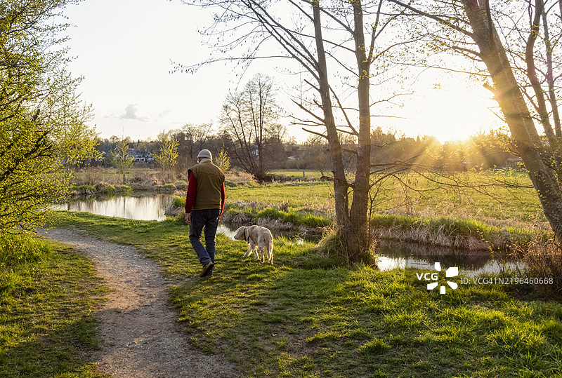 冬季日落时，老年人与狗在河边散步图片素材