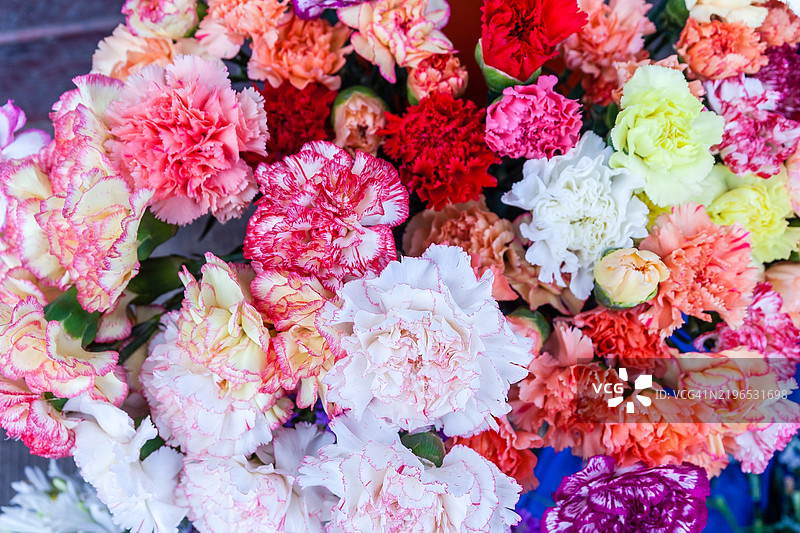 市场上出售的康乃馨图片素材