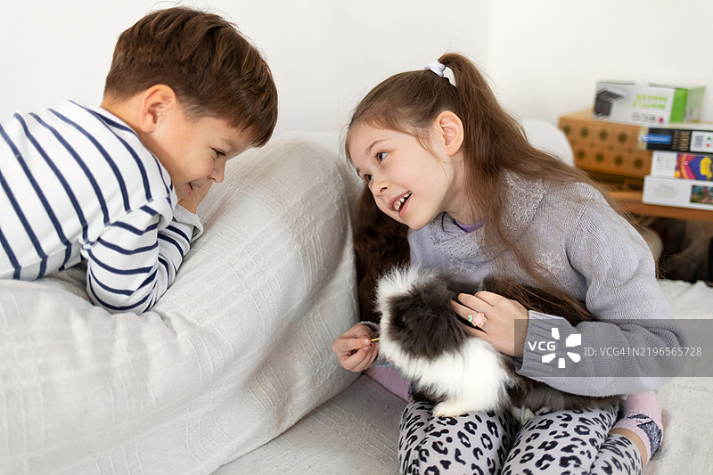 孩子们在交谈，女孩在喂兔子图片素材