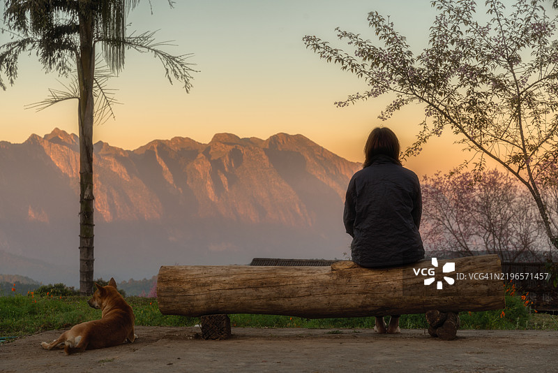 一位女性坐在一条木凳上，旁边有一只狗。图片素材