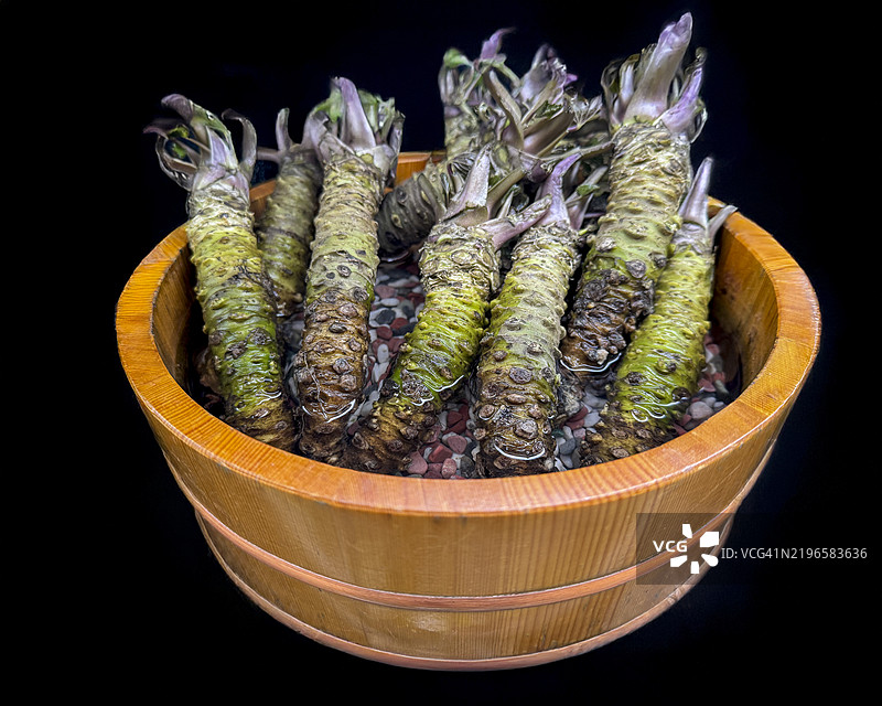 新鲜的芥末根放在木桶中图片素材