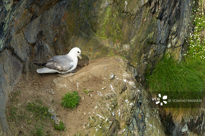 福尔默坐在悬崖边缘3图片素材