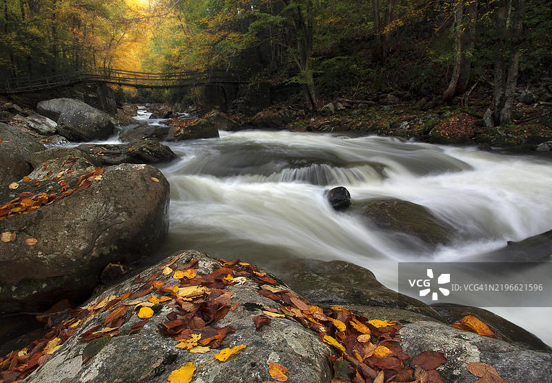 秋季的阿巴拉契亚山溪图片素材