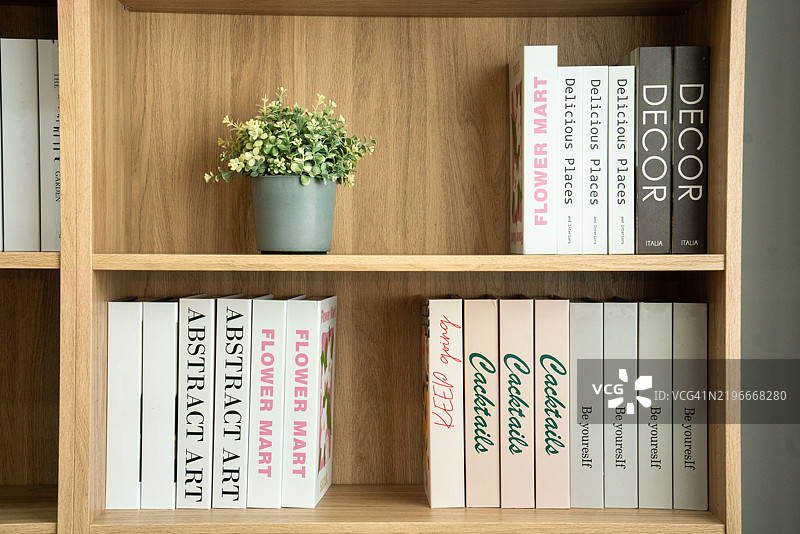 时尚的木质书架，上面摆放着装饰书籍和植物图片素材