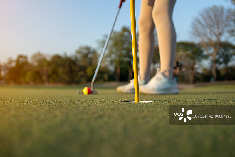 女性高尔夫球手正在将球推入洞中。图片素材