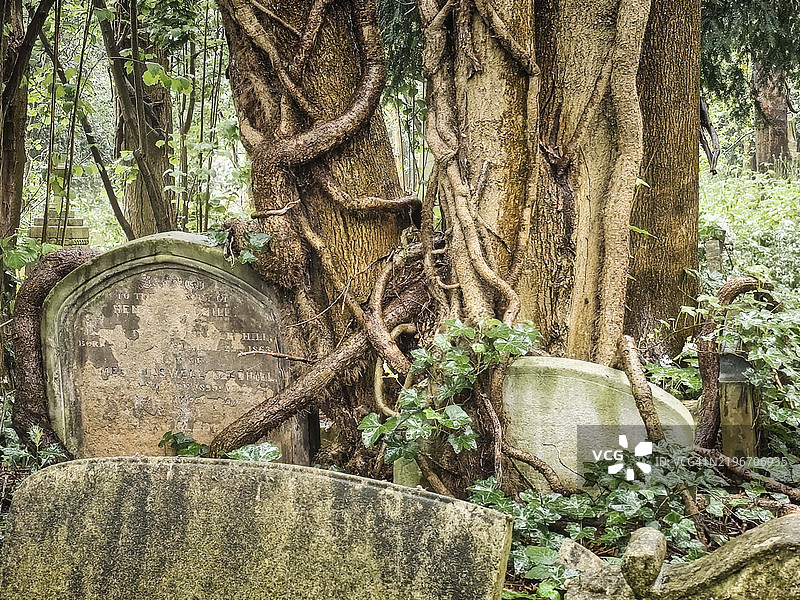 伦敦高门公墓，英国图片素材