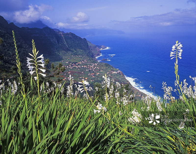 马德拉岛圣乔治拱门的海岸风光图片素材