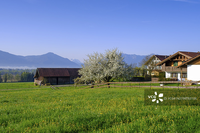 埃登科芬与贝内迪克特贝尔沼泽和阿尔卑斯山脉，彭茨贝格，上巴伐利亚，巴伐利亚，德国，欧洲图片素材
