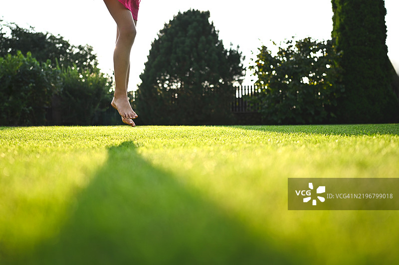 夏天的院子，绿草如茵。图片素材