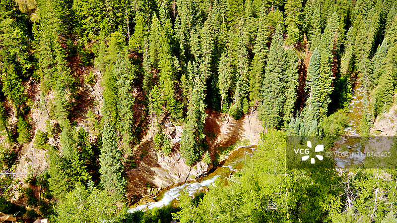 美国绿色森林自然景观图片素材