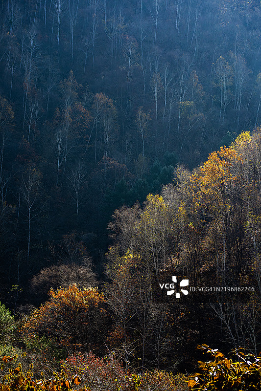 秋天的风景图片素材