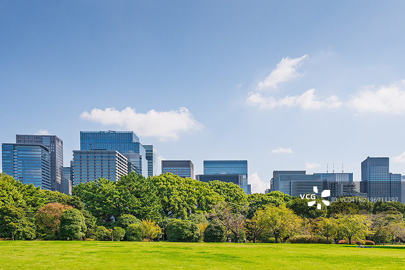 繁茂公园绿地背后的城市天际线图片素材