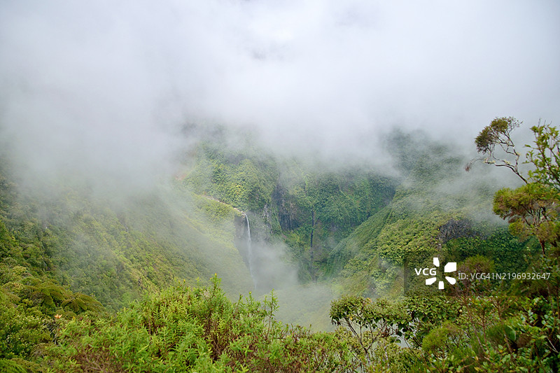 留尼汪岛，铁洞溪的布拉德卡韦尔瀑布图片素材