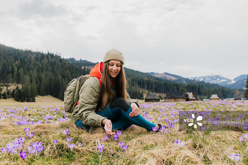 愉快的女性背着背包坐在盛开的藏红花小花的草地上，欣赏塔特拉山的美景图片素材
