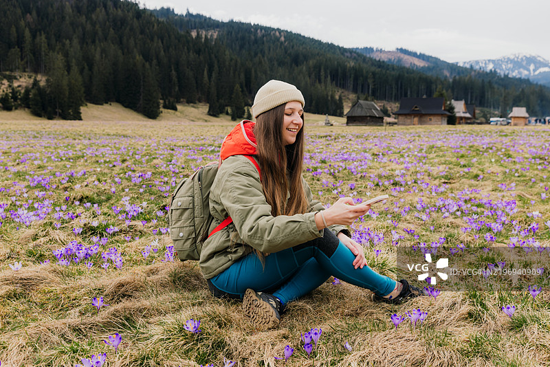 快乐的女性在草地上放松，拍摄塔特拉山脉中盛开的藏红花小花。图片素材