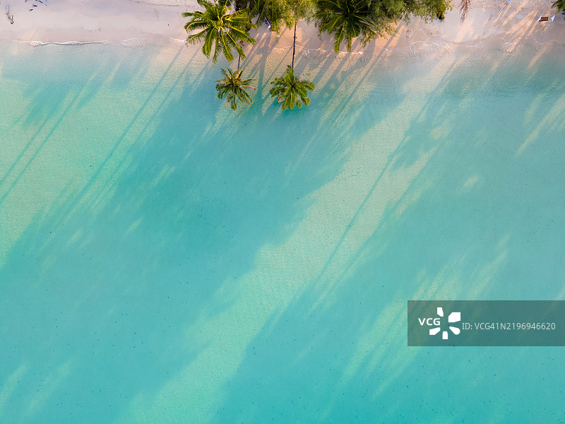 象征性的椰子树矗立在白色沙滩上，映衬着美丽的海水色彩，位于高岛。图片素材