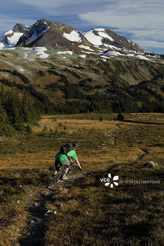 不列颠哥伦比亚省惠斯勒的山地自行车单轨小径图片素材