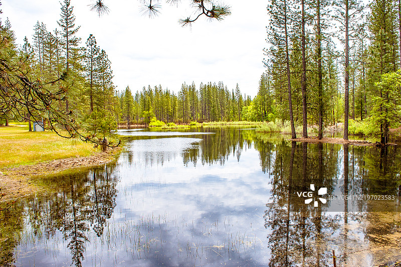 宁静的加利福尼亚湖泊与倒影图片素材