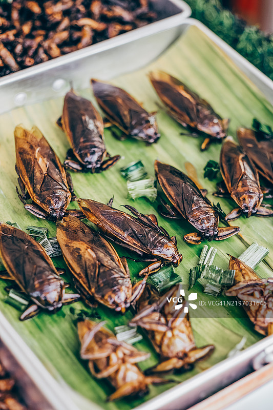 炸虫子。亚洲市场街头的异国风味熟虫子小吃。图片素材