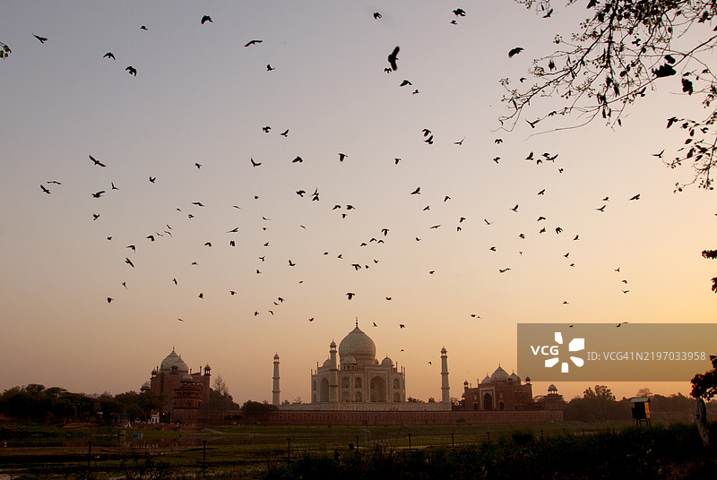 印度阿格拉的泰姬陵日落美景图片素材