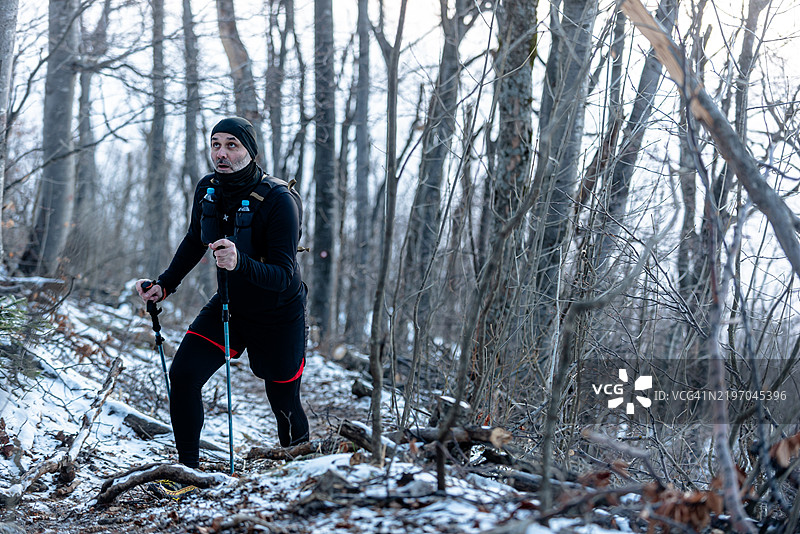 冬天，一名男子在雪-covered森林中徒步旅行，手持登山杖。图片素材