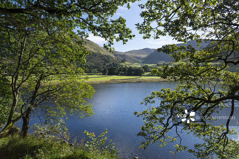 英格兰坎布里亚湖区兄弟水旁的树木图片素材