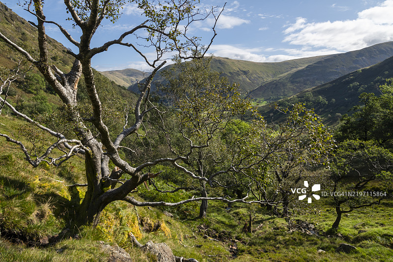 达夫代尔，湖区，坎布里亚，英格兰图片素材