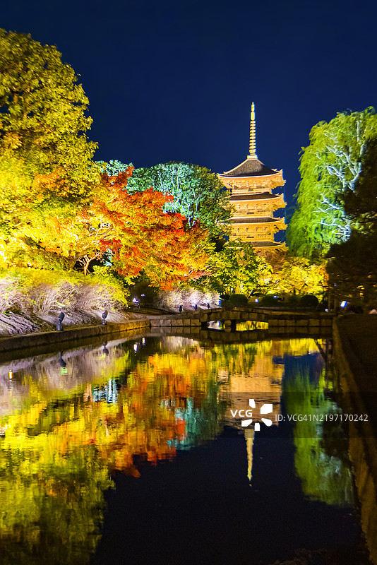 秋季京都东寺塔的美丽夜景与五彩斑斓的枫树图片素材
