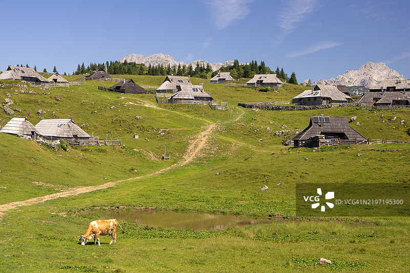 斯洛文尼亚上卡尔尼奥拉的维利卡普拉尼纳可爱的牧羊人小屋。图片素材