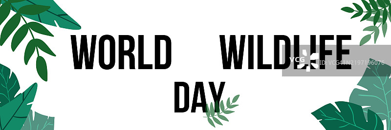 世界野生动物日网页横幅图片素材