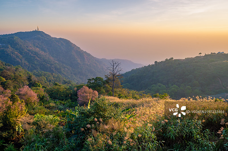 云雾笼罩着美丽的山谷和通往泰国佩奇布省普塔普博克山的道路，雨季时节。图片素材