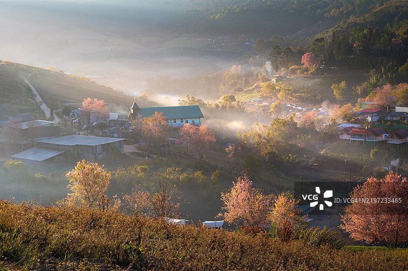 自然，雾气，山脉，樱花树，清晨，荣克拉村图片素材