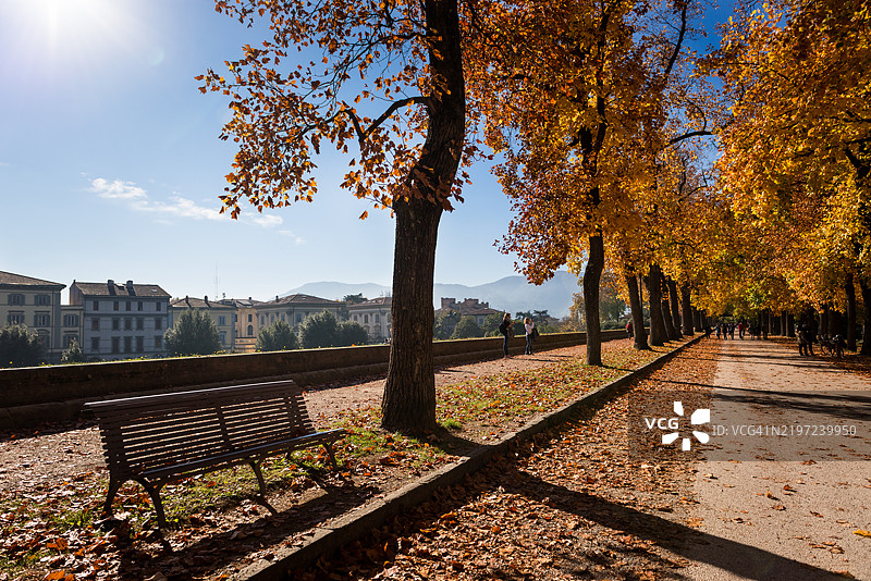 在意大利卢卡，城市墙顶沿途放置的一张长椅，周围是秋天的树叶色彩。图片素材