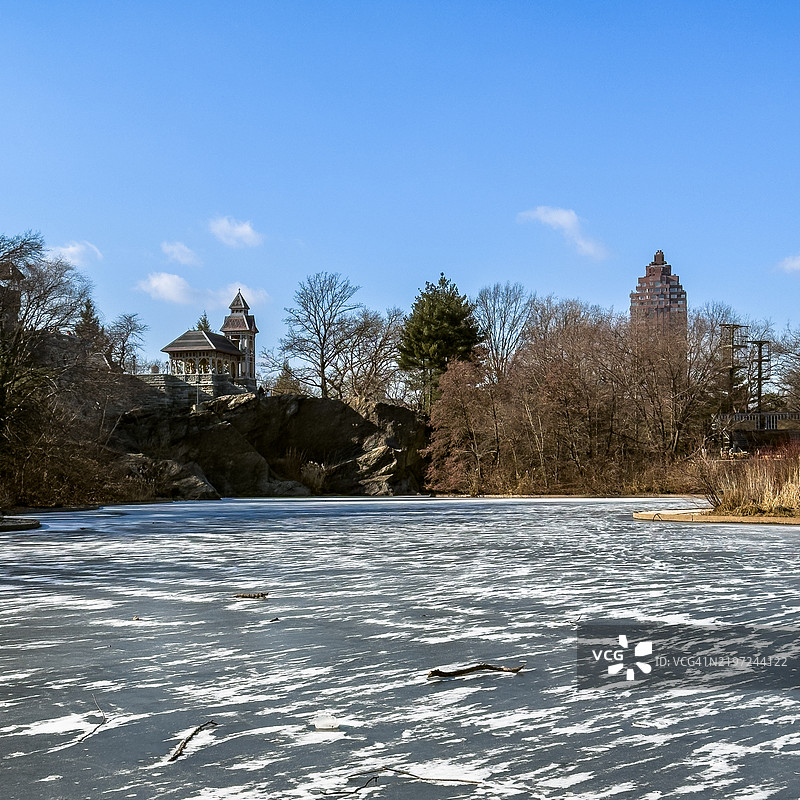 中央公园的冰冻乌龟池图片素材
