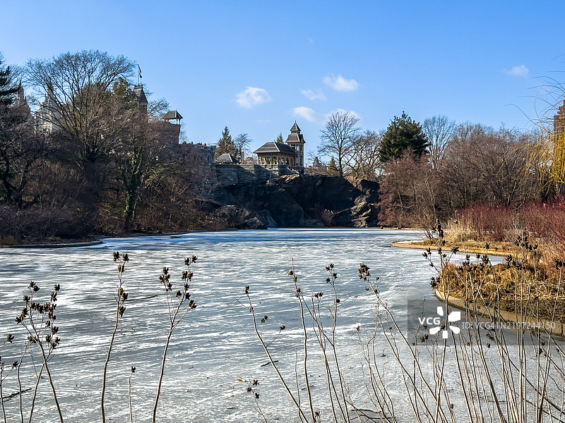 中央公园的冰冻乌龟池图片素材