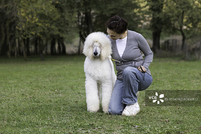 女人与她的皇家标准贵宾犬 - 伴侣之间的纽带图片素材