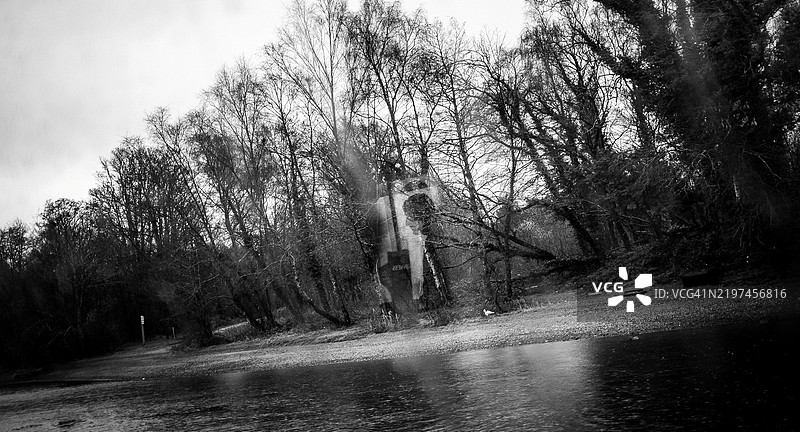 洛蒙德湖岸边的光秃树木图片素材