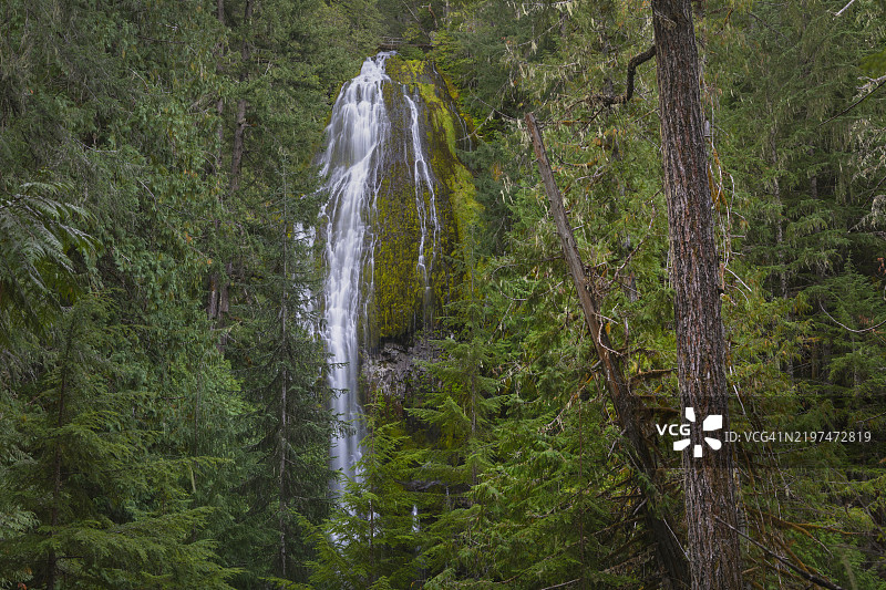 俄勒冈州的代理瀑布图片素材