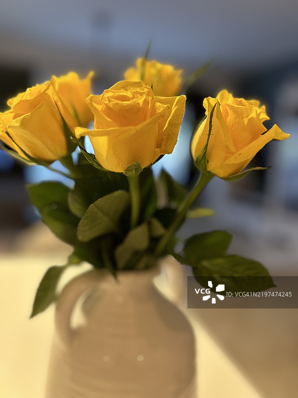 桌子上花瓶里的黄色玫瑰特写图片素材