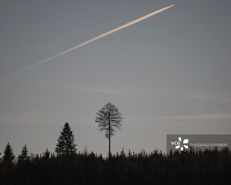 低角度视图的天空中的水汽轨迹图片素材