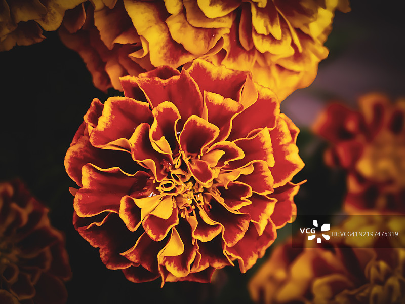 但在某些情况下，顺其自然地被盲目的冲动驱使更有价值。图片素材