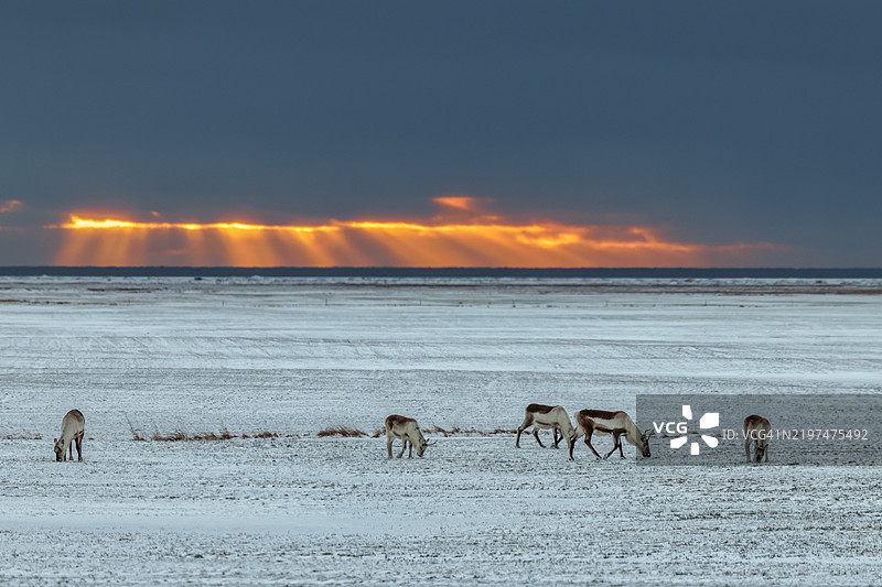 湿地的风景图片素材