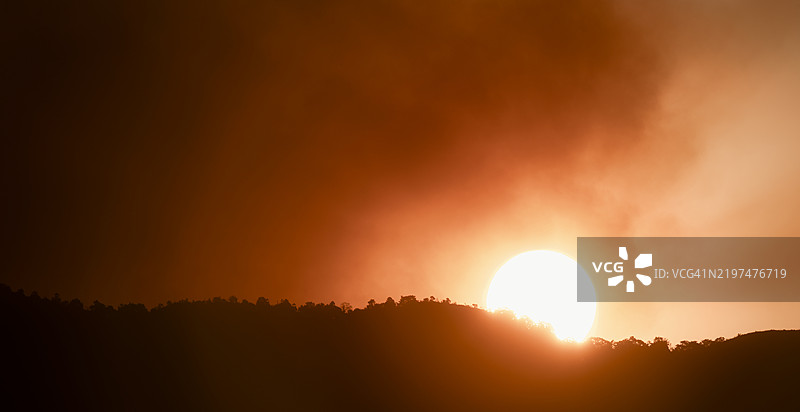 日落时分，天空中树木的剪影，香港新界图片素材